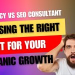 SEO Consultant vs SEO Agency